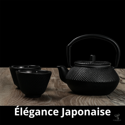 Théière Misaki – Théière japonaise en fonte noire (300 ml)