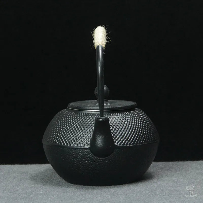 Théière Kuroha en fonte noire, vue supplémentaire