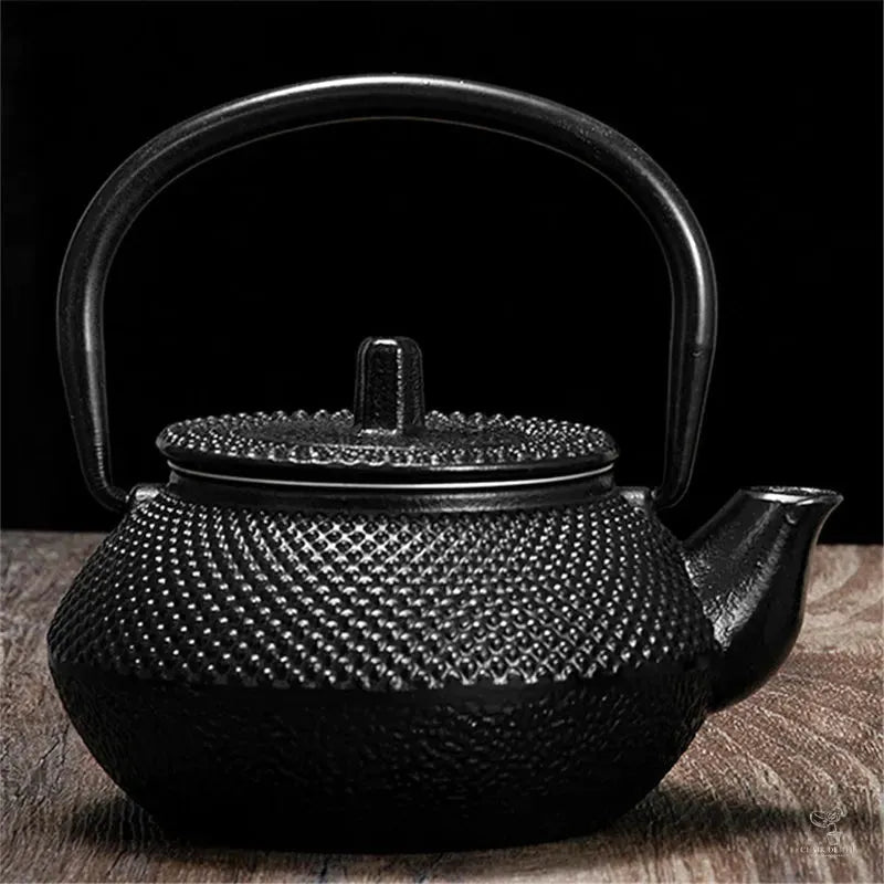 Théière Misaki en fonte noire, vue supplémentaire